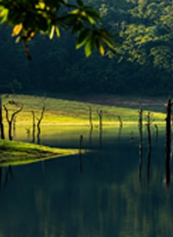 Thekkady