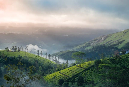 family-kerala-tour-pakages