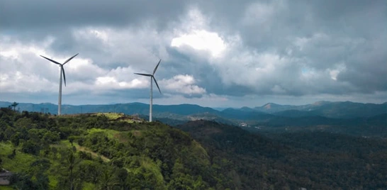 vagamon-kerala-tour-pakages