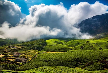 munnar-kerala-packages
