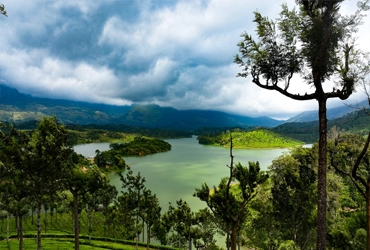 munnar-kerala-packages