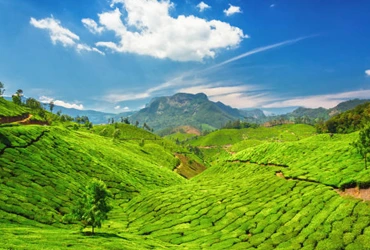 3day-munnar-kerala-tour-pakages