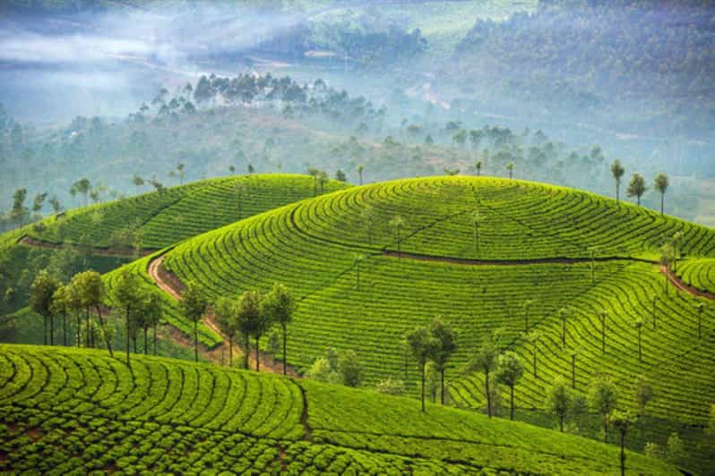 Kerala Backwaters