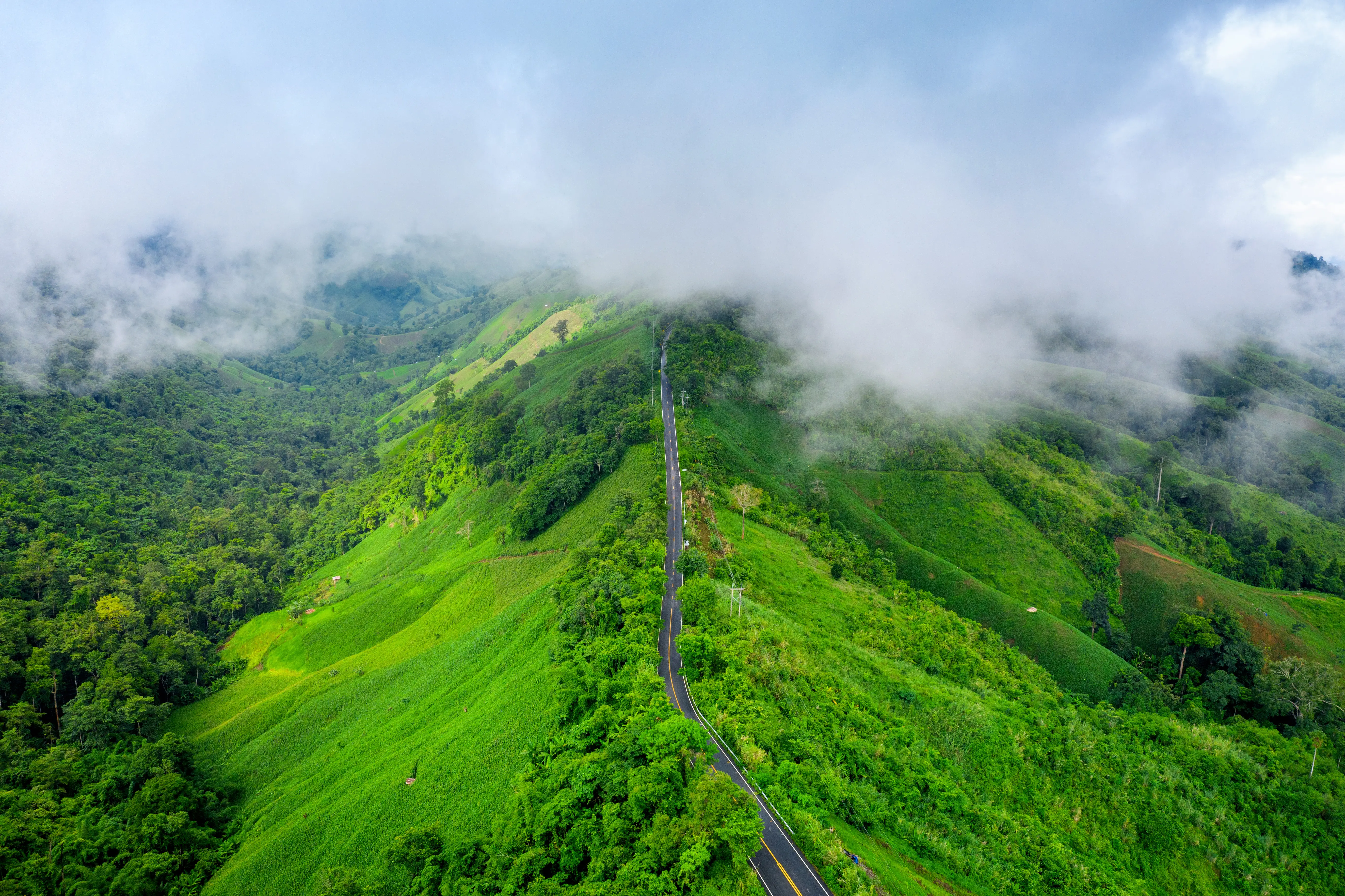 Tea plantations Munnar