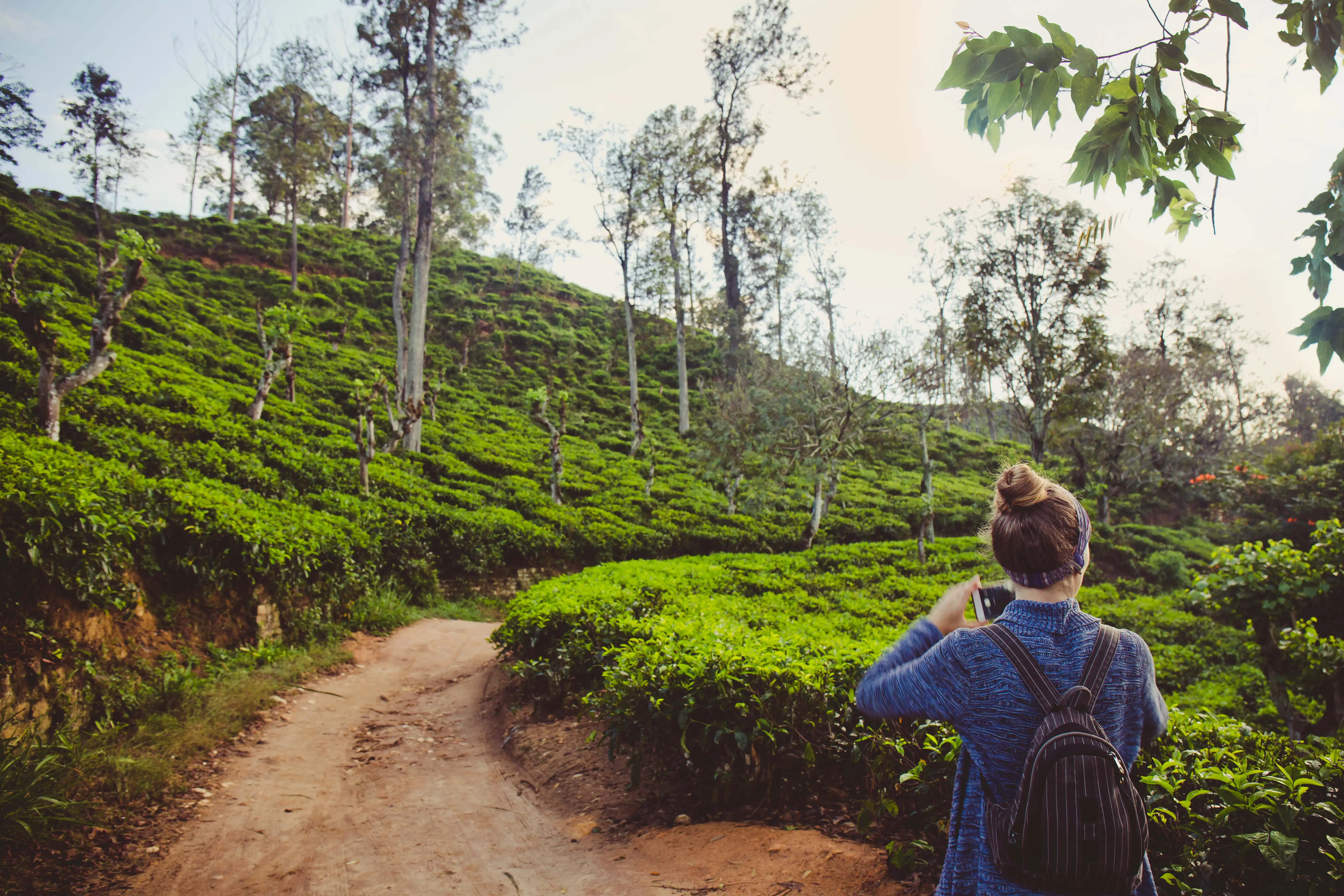 Kerala lake