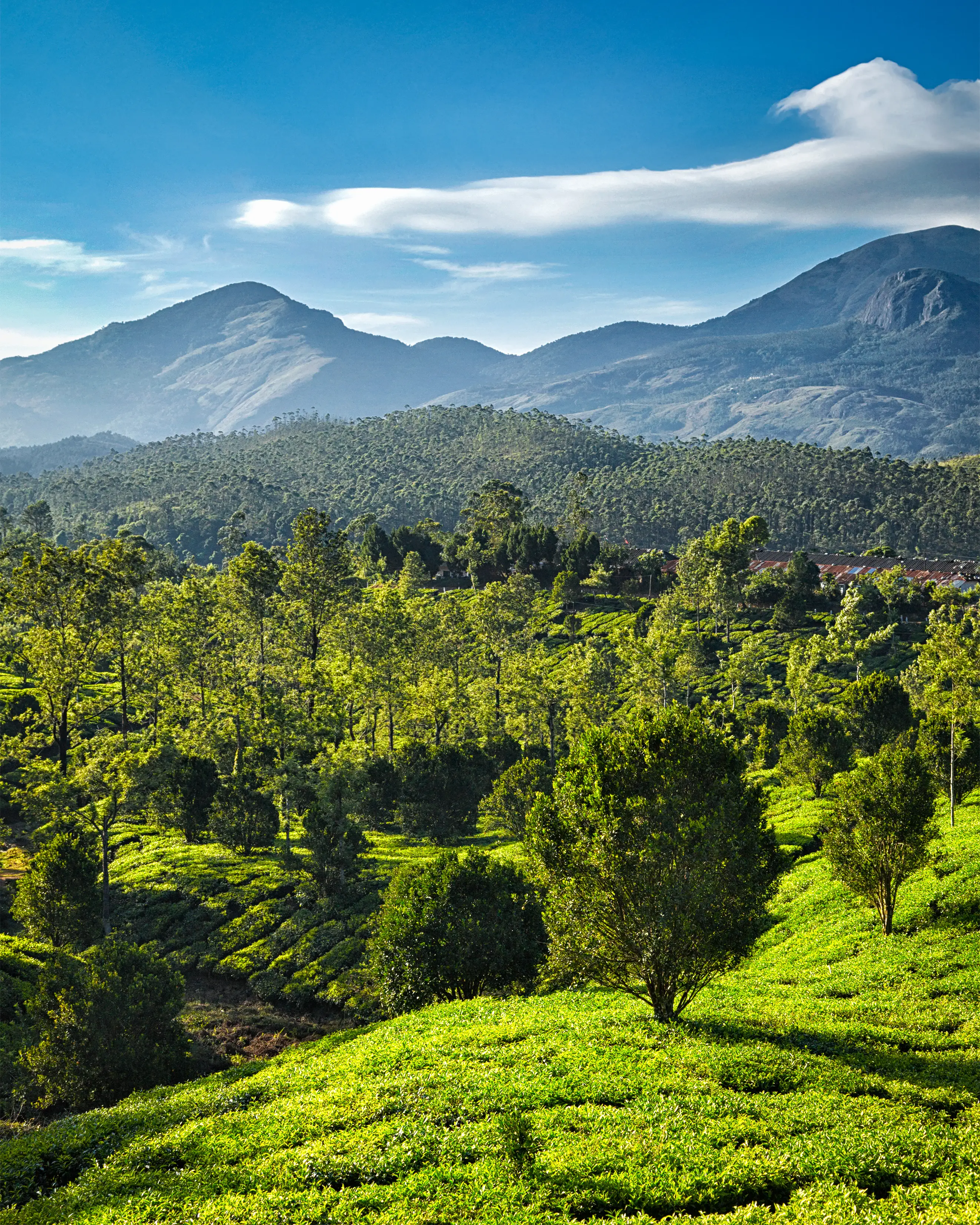 Kerala lake