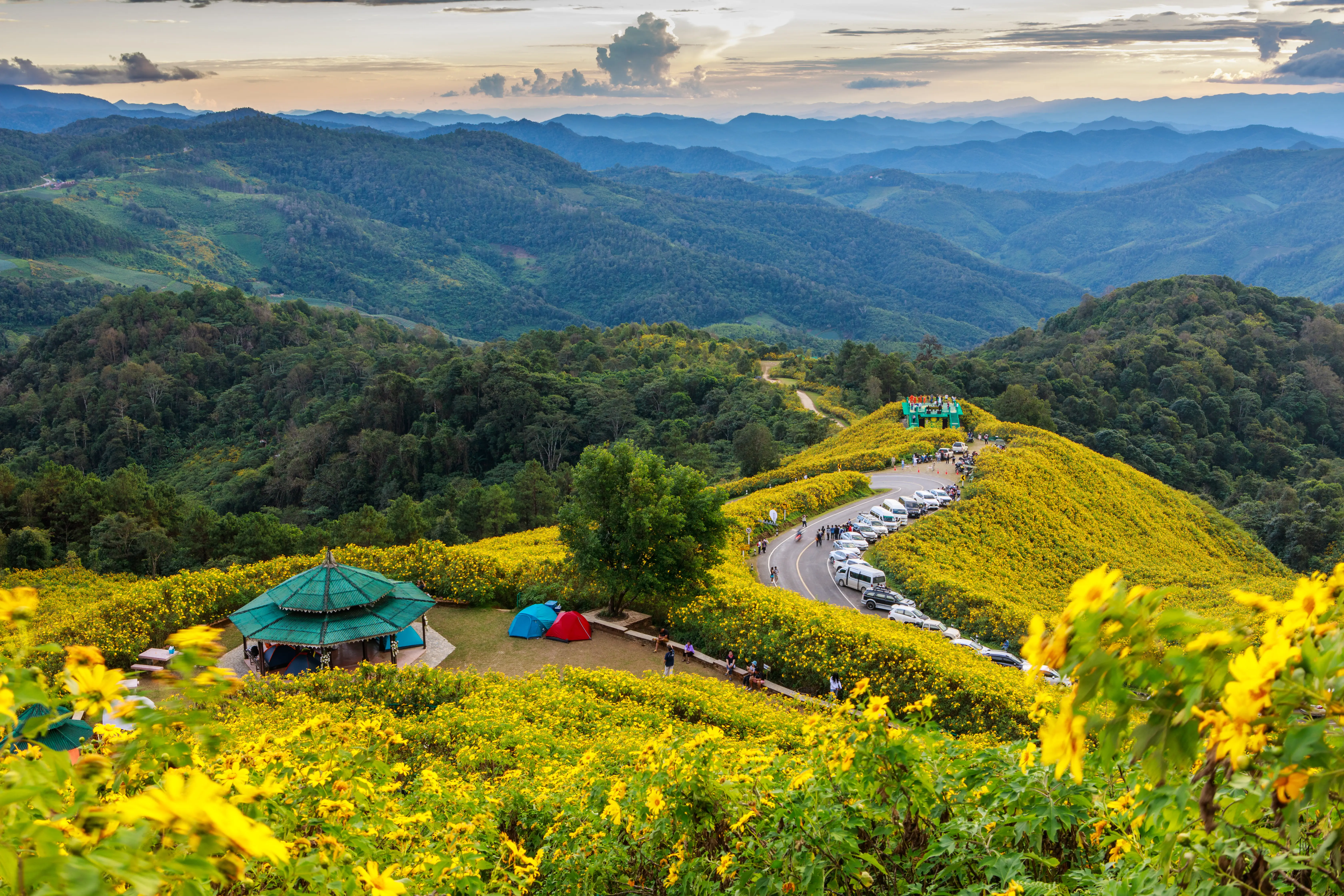 Tea plantations Munnar