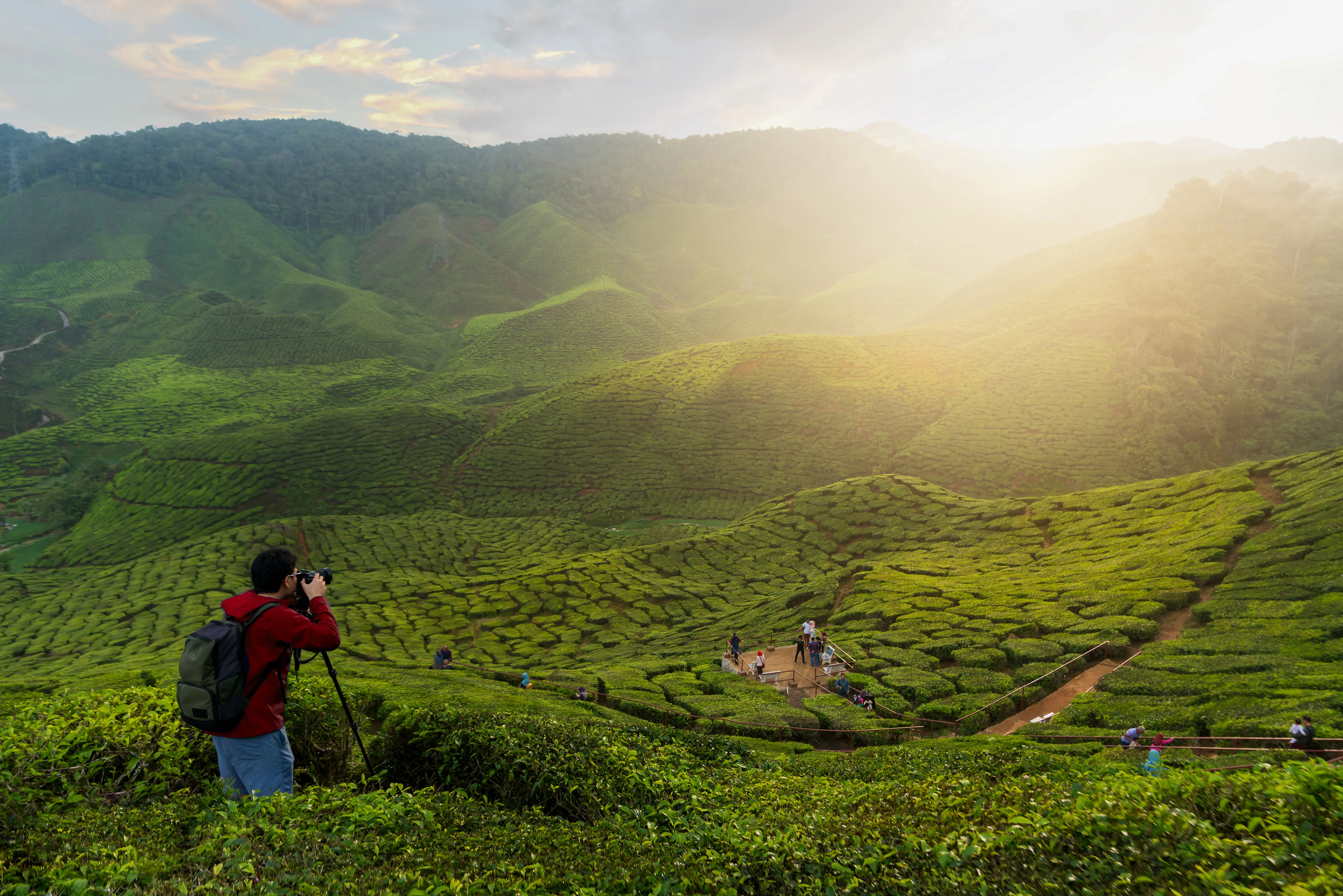 Kerala waterfall landscape