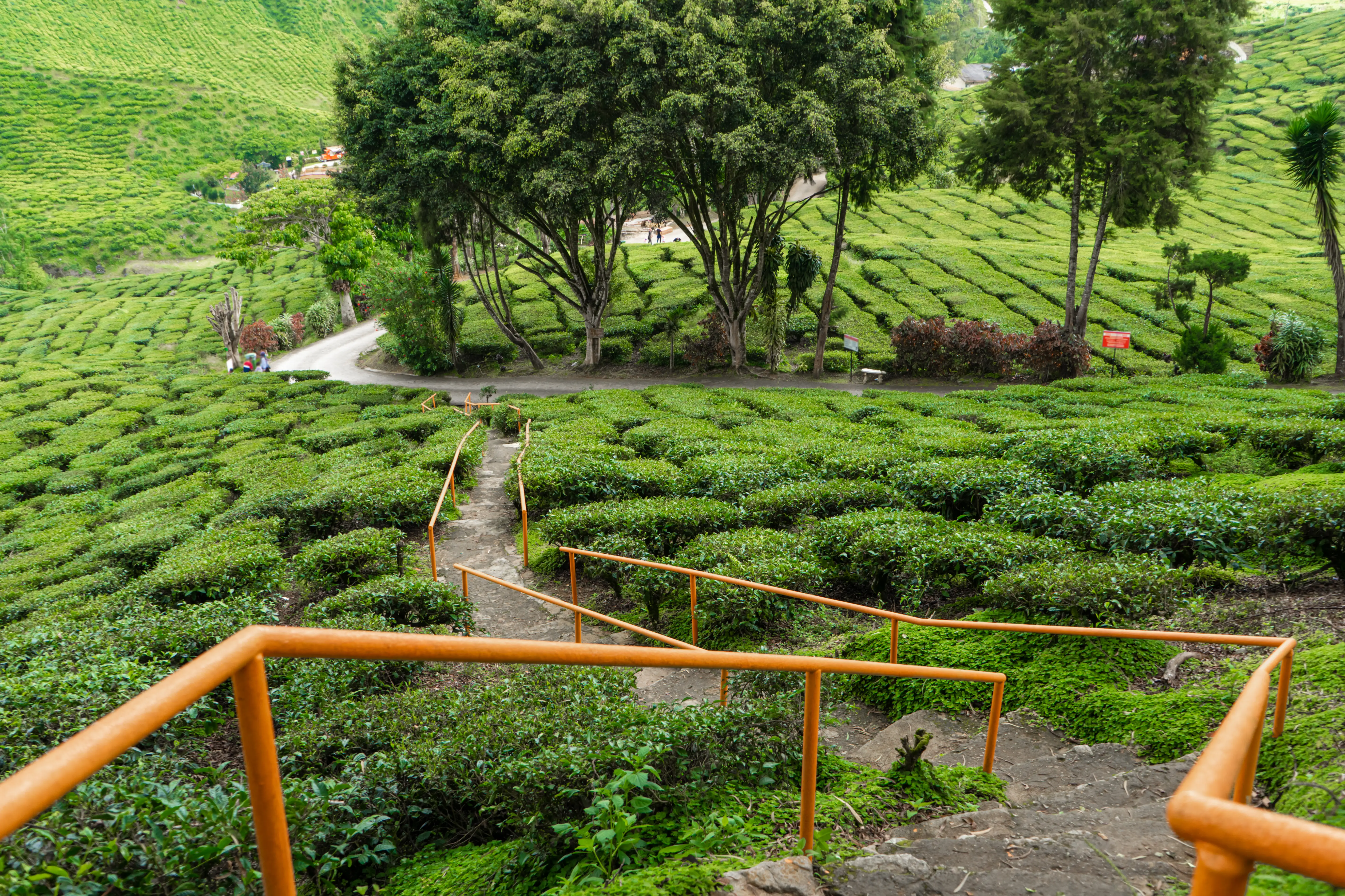 Kerala lake