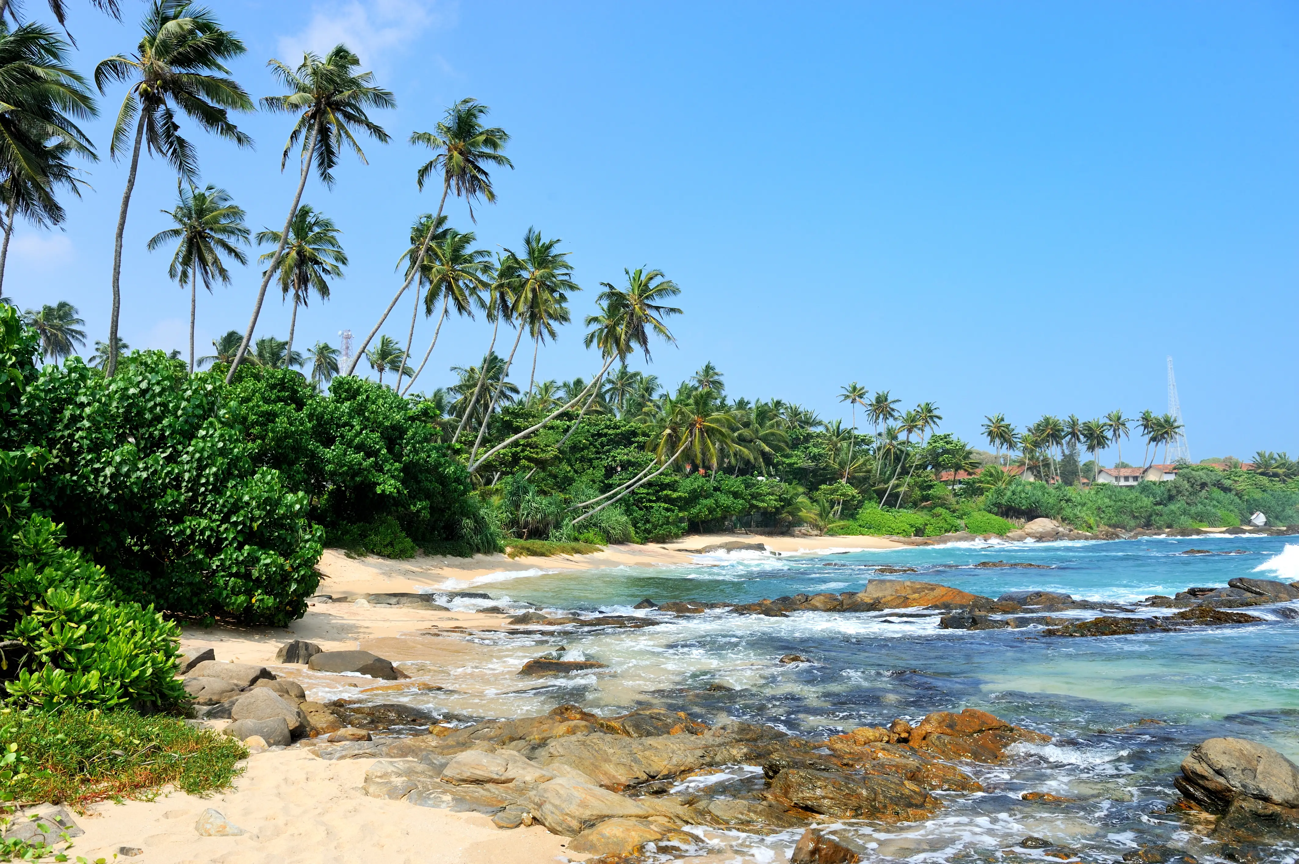 Kerala lake