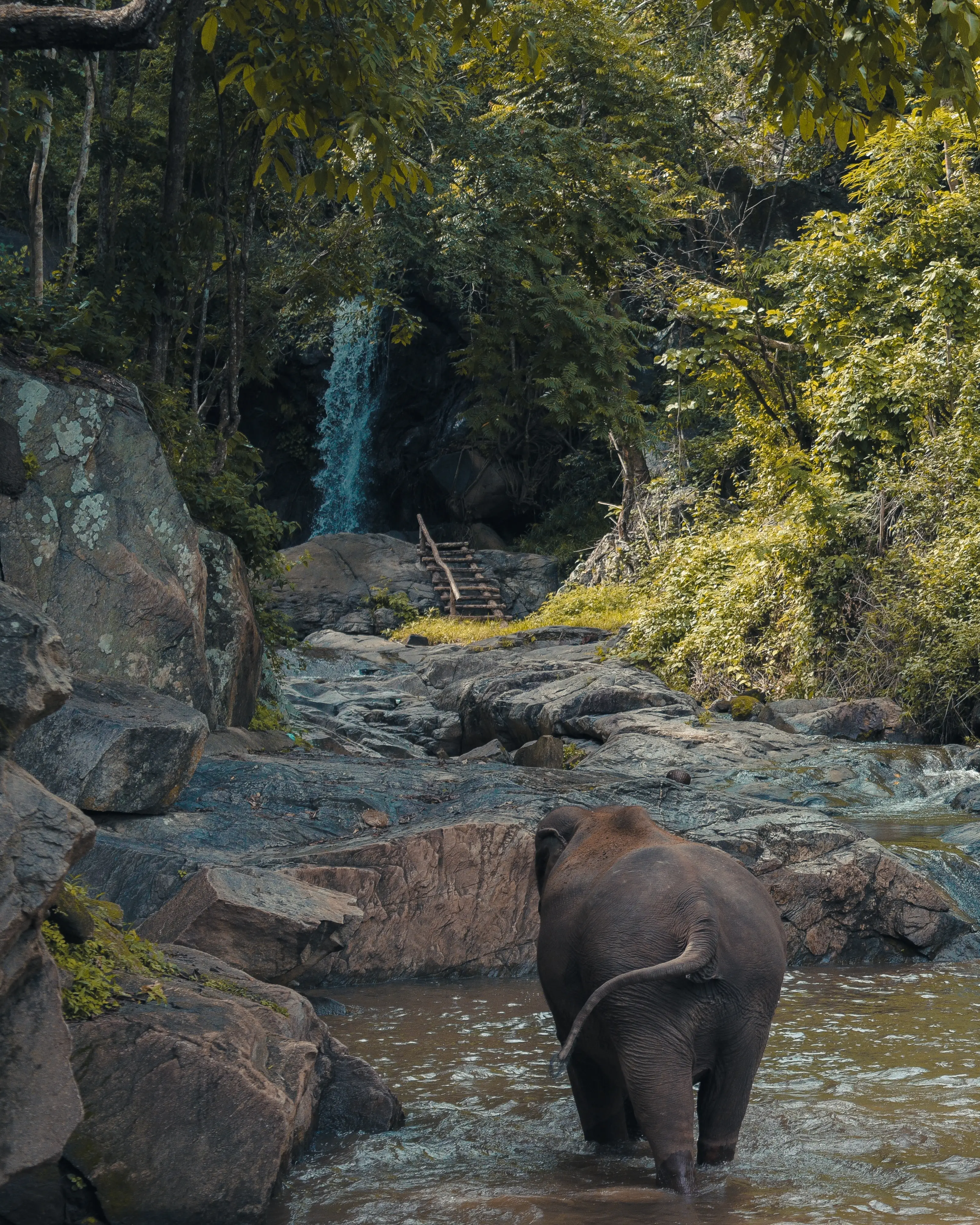 Waterfall